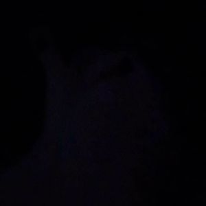 Meet your Posher, Edna